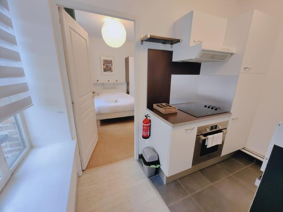 Appartement Lumineux Et Calme Parking Gratuit Lille Zewnętrze zdjęcie