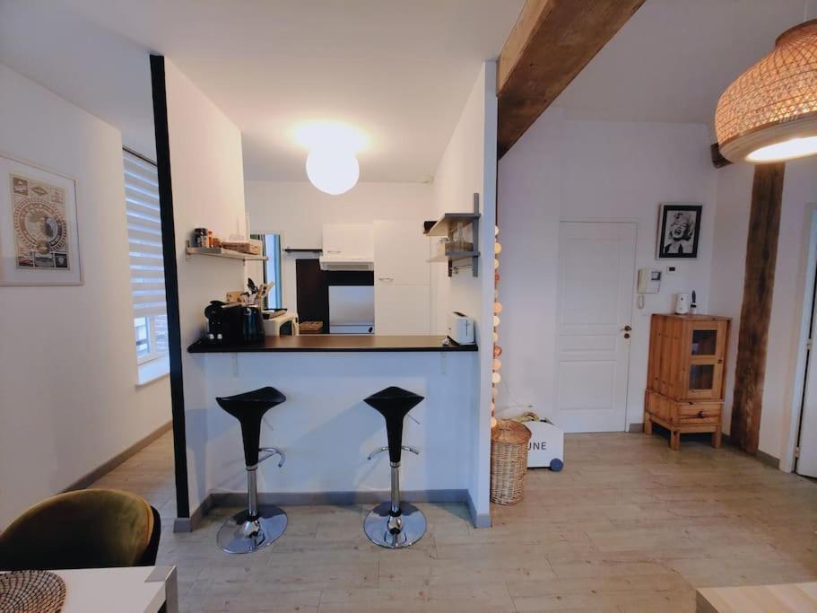 Appartement Lumineux Et Calme Parking Gratuit Lille Zewnętrze zdjęcie
